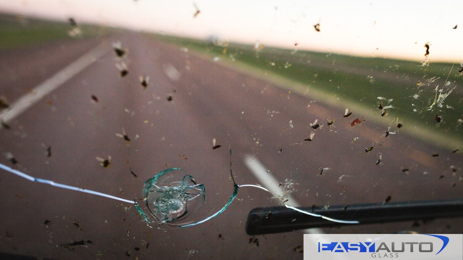 Bug are splattered on a windshield, at the bottom a impact chip and crack have formed.