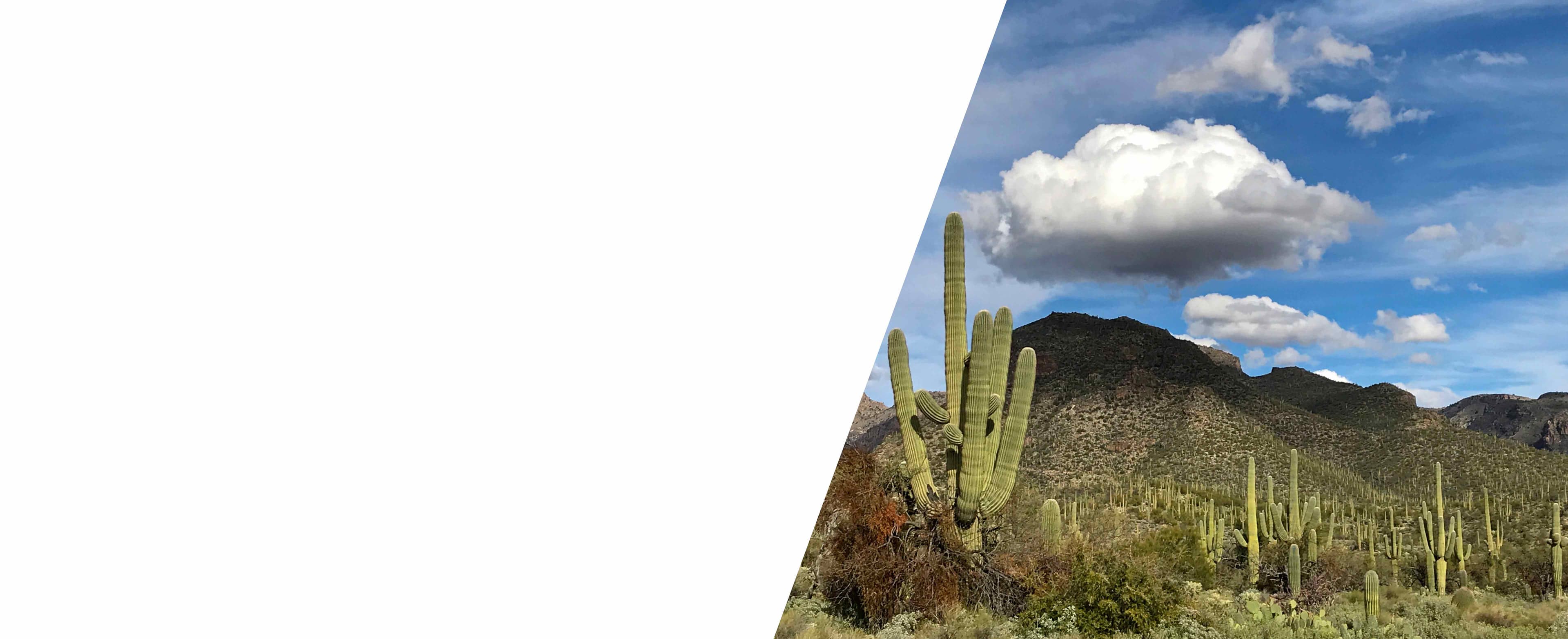 Marana, Arizona